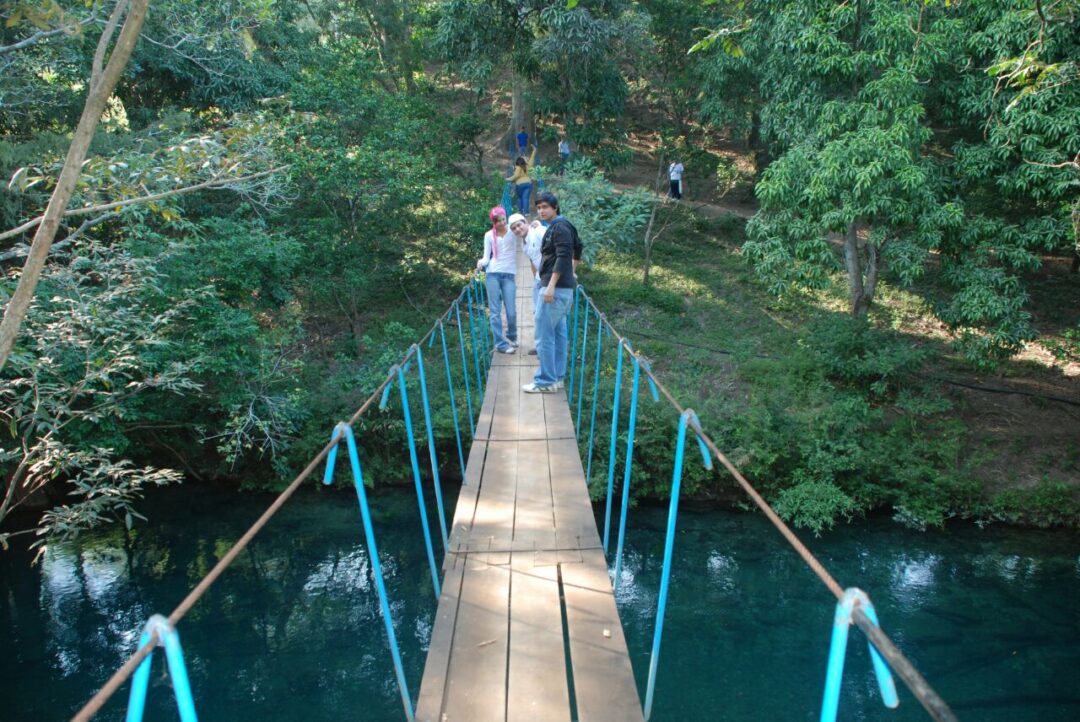 Puente colgante Reserva de la Biosfera